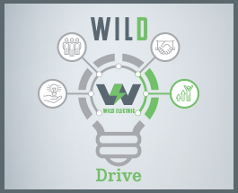 Wild Electric - Drive