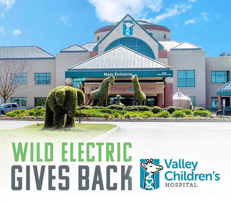 Wild Electric Gives Back